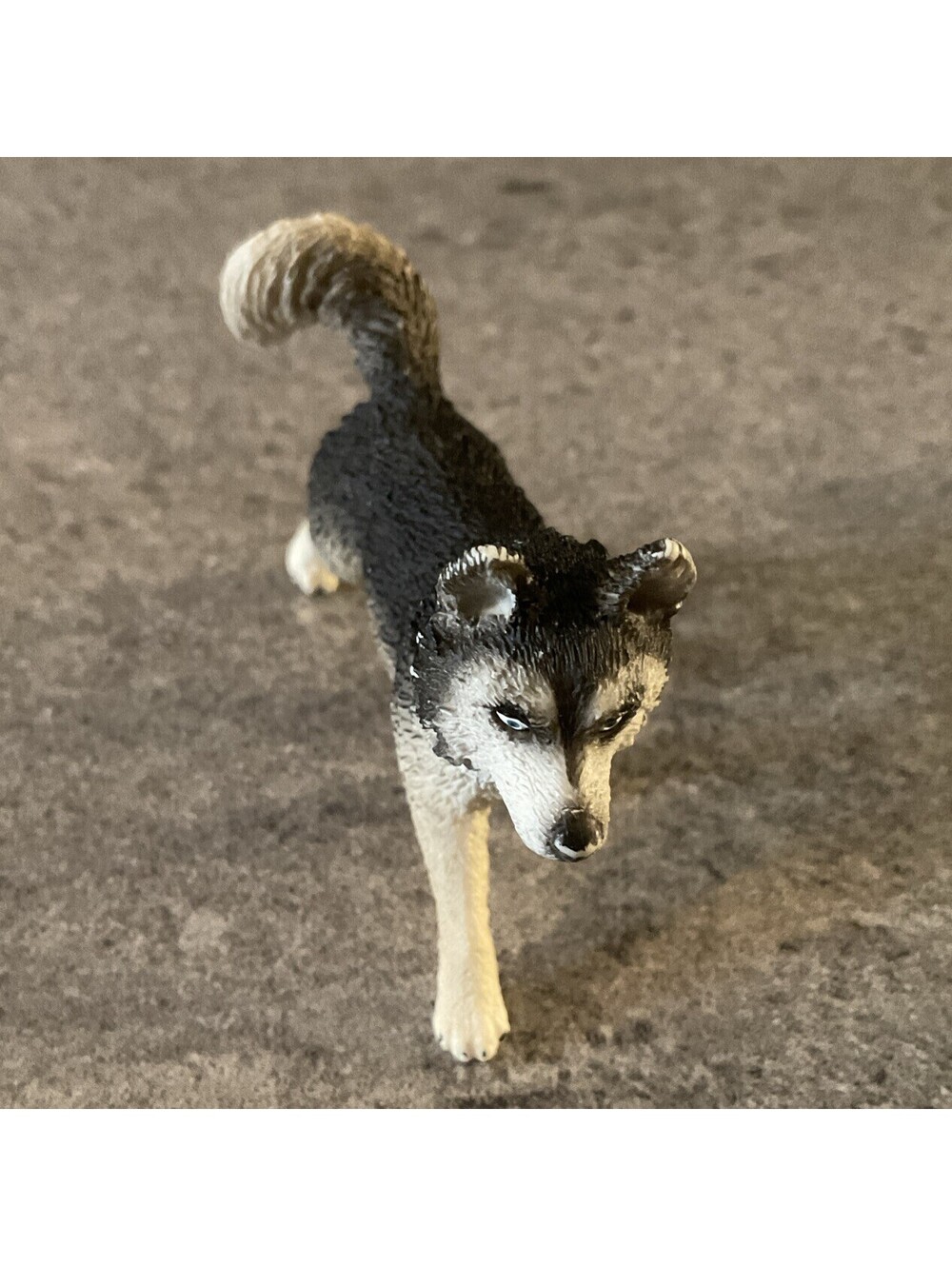 Schleich Female Husky Adult Dog Animal Figure Figurine 2014